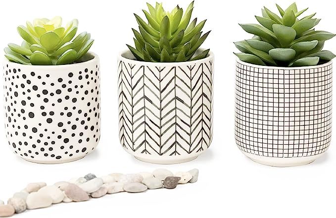 Kurrajong Farmhouse Artificial Succulents in pots | Set of 3 Black and White Ceramic pots with Gr... | Amazon (US)