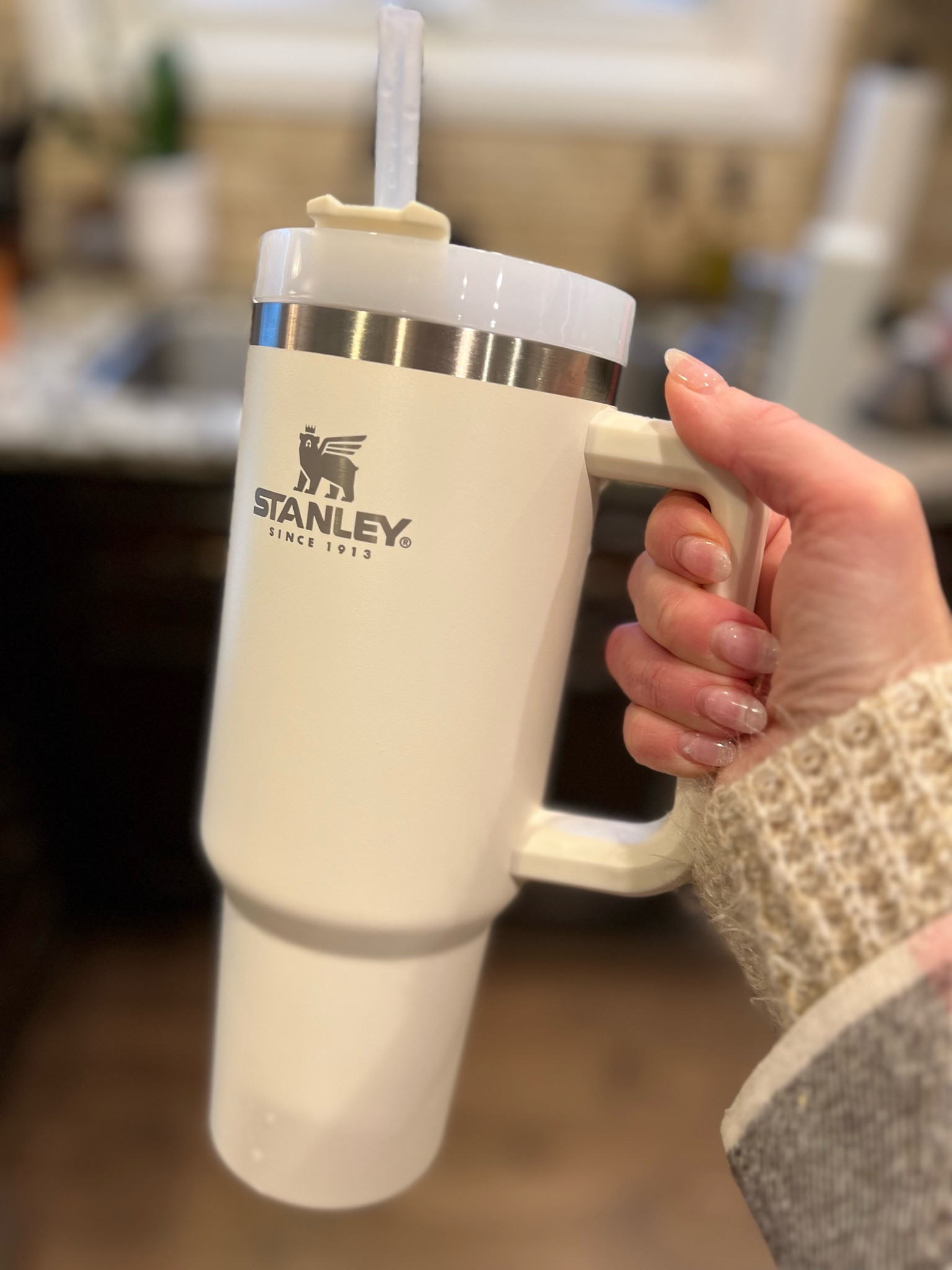 Stanley cup

#LTKHoliday #LTKunder50 #LTKGiftGuide