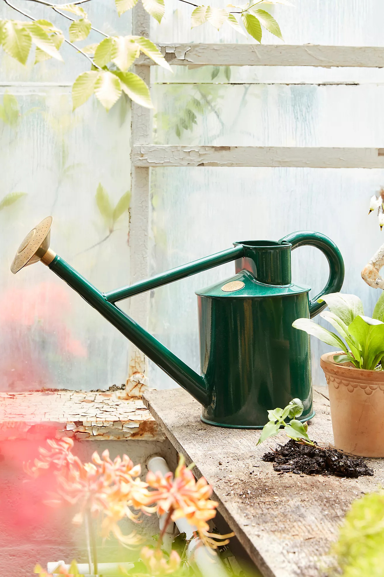 Haws Bearwood Brook Watering Can | Terrain