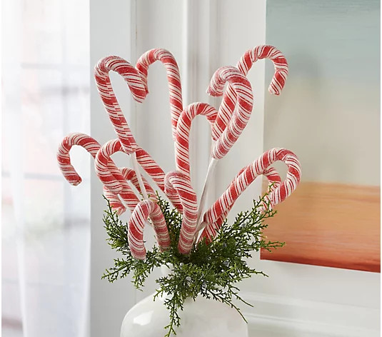 Set of 4 Candy Cane Picks by Valerie - QVC.com | QVC