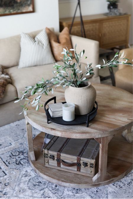 I LOVE the simple, rustic look of this vase and stems from Magnolia! 😍 Super affordable too! #homedecor #livingroom #rusticdecor #olivestems #rusticvase 

#LTKhome #LTKstyletip