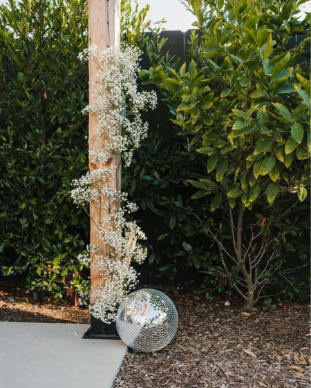 This year we’re throwing a NYE disco glam party and we’ve provided all the products we used to achieve the look!

#LKTunder100 #newyearseveparty #party #partydecor #partyideas

#LTKSeasonal #LTKHoliday #LTKhome