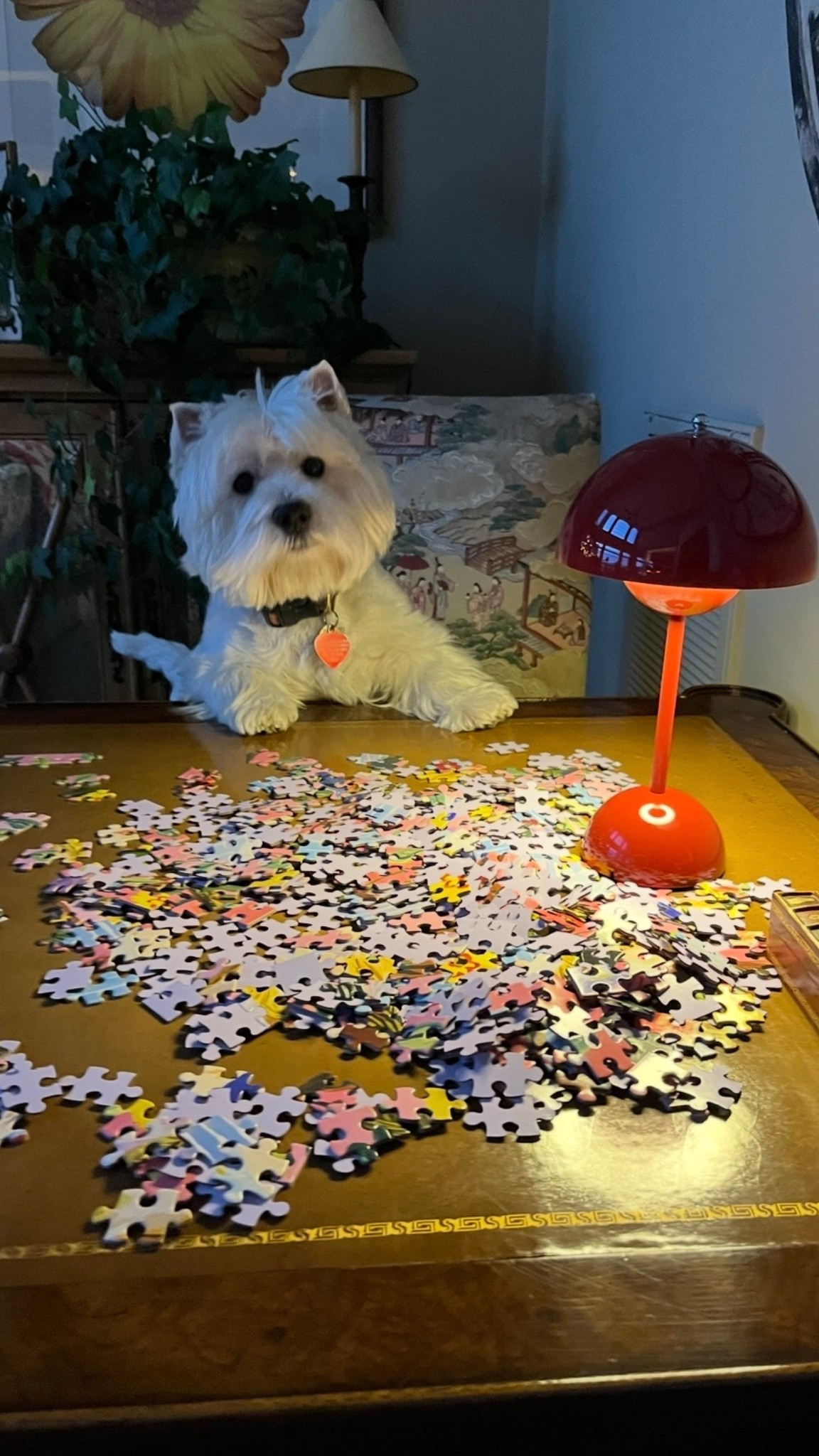 We love a holiday puzzle night.. my mom especially loves puzzles so I’m always scouting some great ones. Here’s a mix of holiday and winter fun plus some other great ones that caught my eye. Just ordered several of these to go under the tree for her. 

#LTKSeasonal #LTKGiftGuide #LTKHoliday