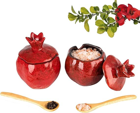 Salt Cellar Salt Box 2 PCS Salt Container Salt Pig Red Salt Bowl Salt Cellar With Lid Spoon Ceram... | Amazon (US)