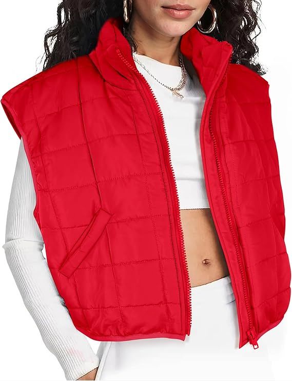 Zeagoo Womens Puffer Vest Ladies Sleeveless Zip Up Outerwear Warm Puffer Lightweight Down all Win... | Amazon (US)