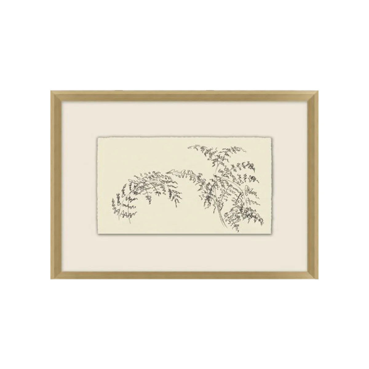 Branch Study | Tuesday Made