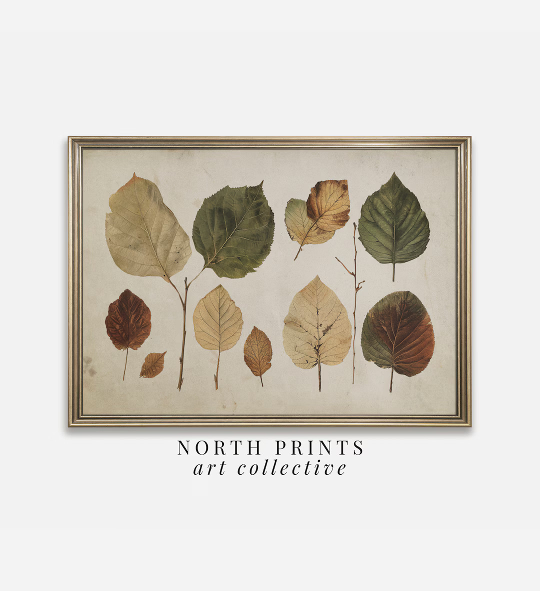 Rustic Autumn Botanical Wall Art PRINTABLE | Fall Leaves Study | Cozy Cabin Wall Decor North Prin... | Etsy (US)