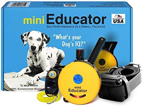 Educator ET-300 Mini E Collar for Dog Training with Remote - 1/2 Mile Range, Waterproof, 100 Blun... | Amazon (US)