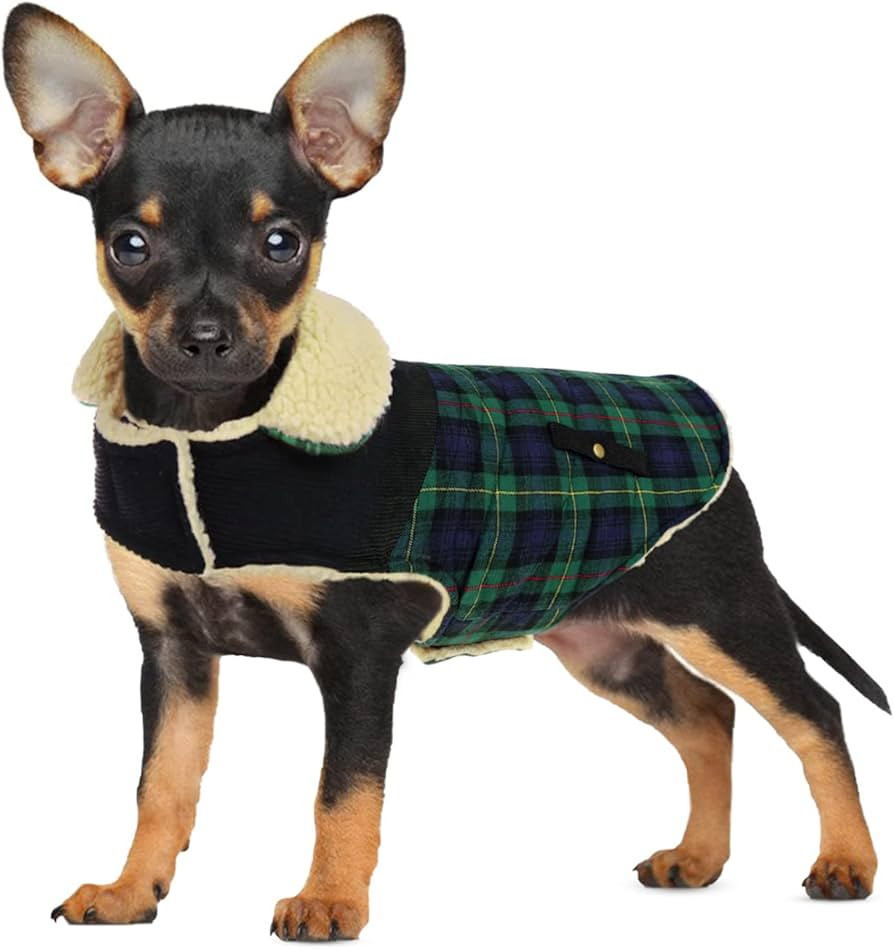 Winter Coat for Small and Medium Dogs, Puppy Plaid Jacket, Cotton Coat for Cold Weather, Windproo... | Amazon (US)