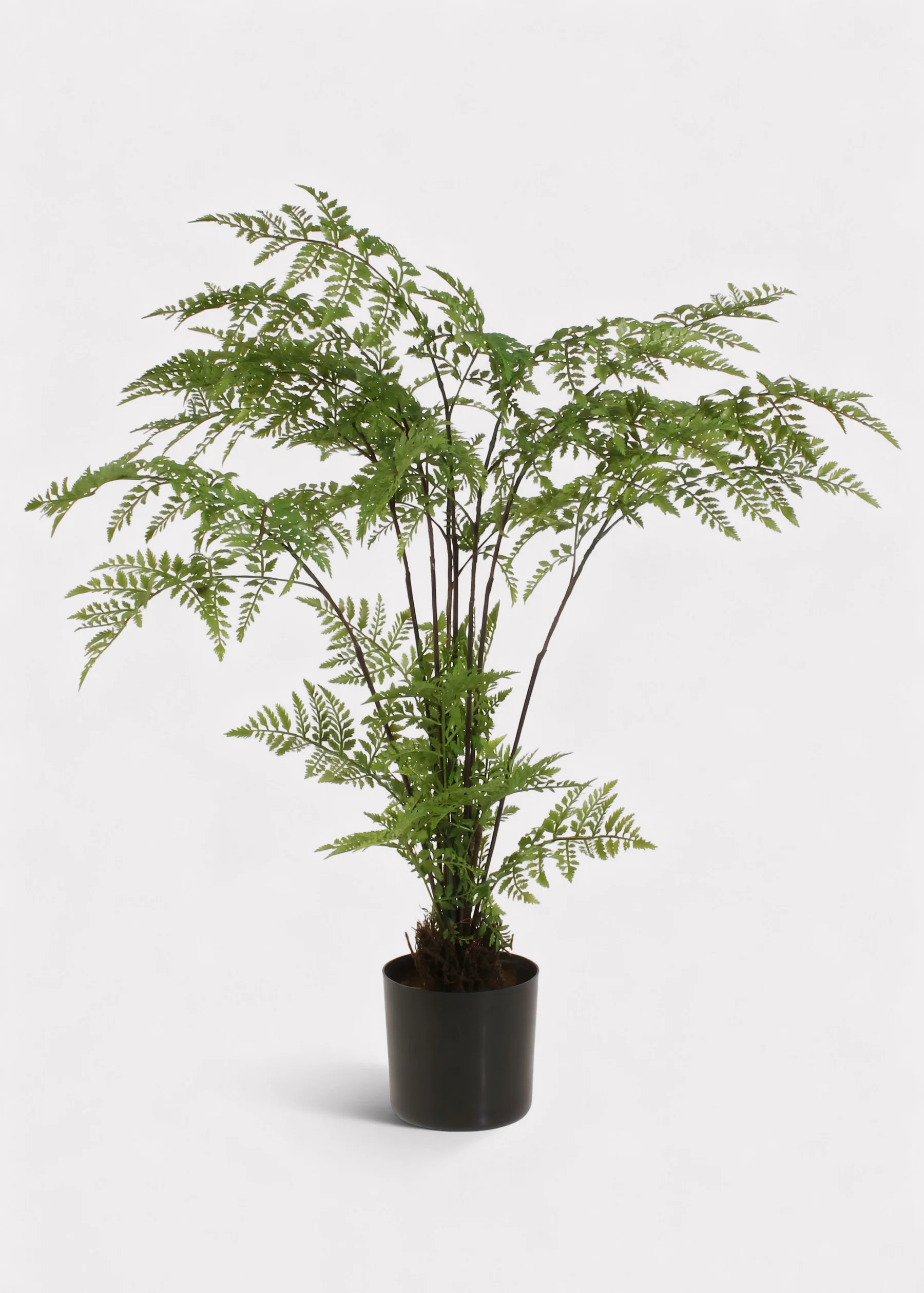 Artificial Tall Potted Fern Plant | Fake Floor Plants | Afloral | Afloral