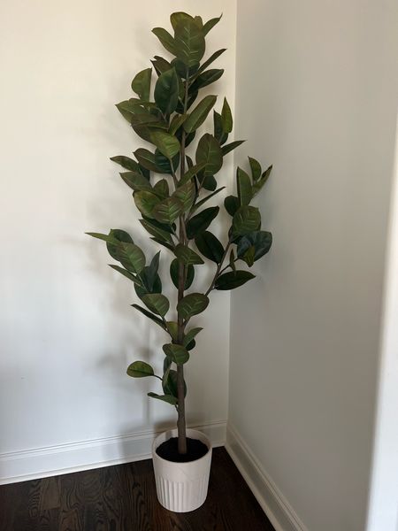 Faux leaf tree - 73” tall and perfect for office, primary bedroom, entryway, etc 

#LTKstyletip #LTKhome #LTKSeasonal
