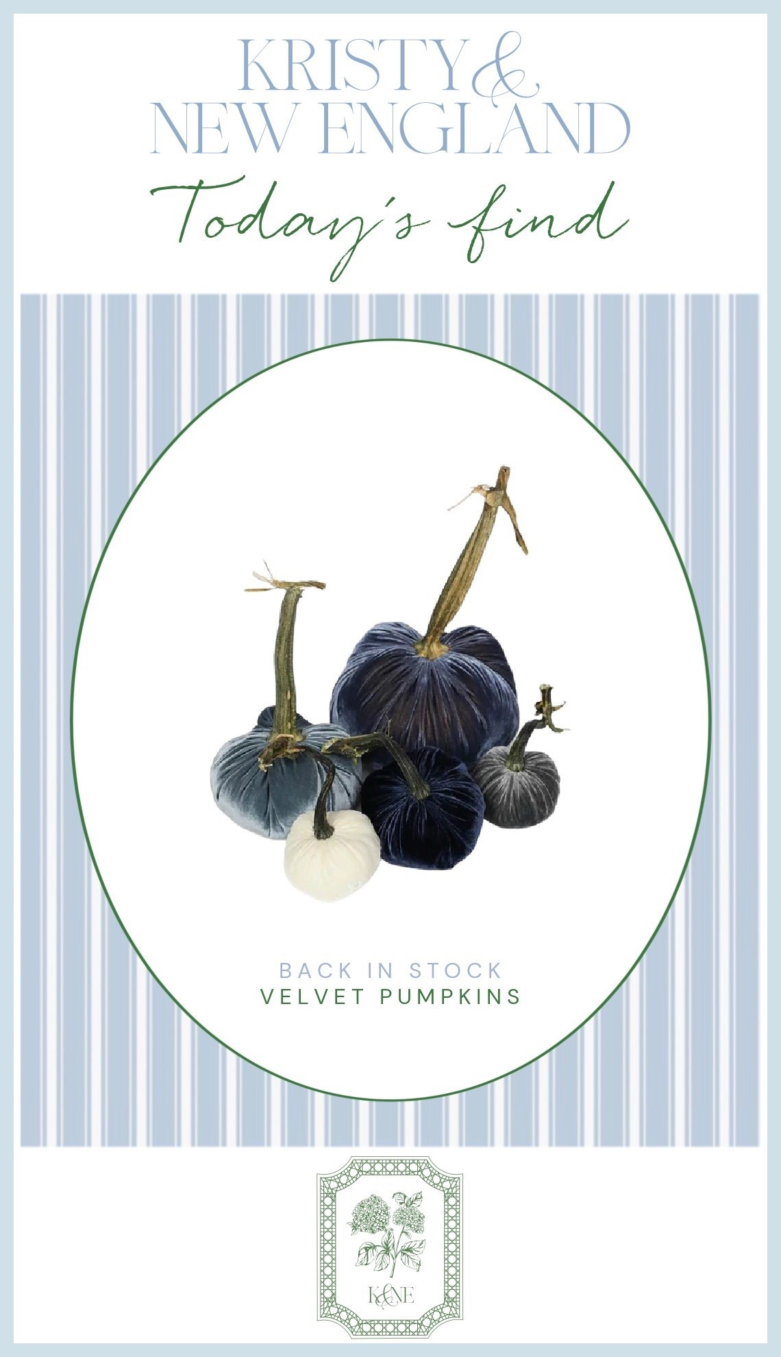 Velvet pumpkins set of 3 or 5

#LTKHome #LTKSeasonal