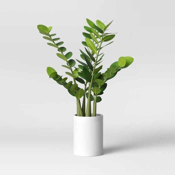 23" x 18" Artificial Zamioculcas Zamiifolia Plant in Pot - Project 62™ | Target