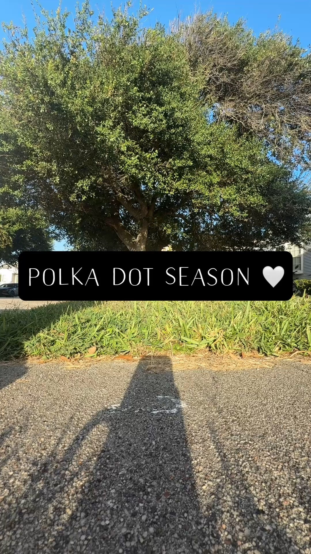 Polka dot love

#LTKdayinmylife #LTKootd #LTKmomlife