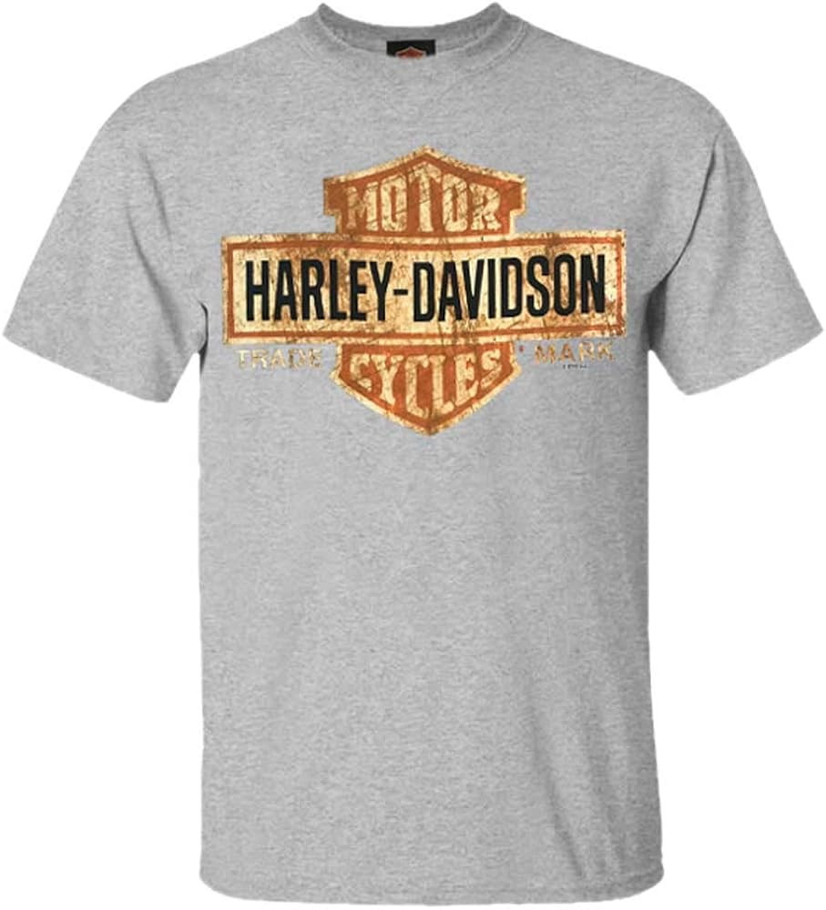 Harley-Davidson Men's Orange Bar & Shield Black T-Shirt 30290591 | Amazon (US)