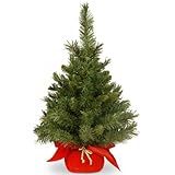 National Tree Company Artificial Mini Christmas Tree | Includes Cloth Bag Base | Majestic Fir - 2 ft | Amazon (US)