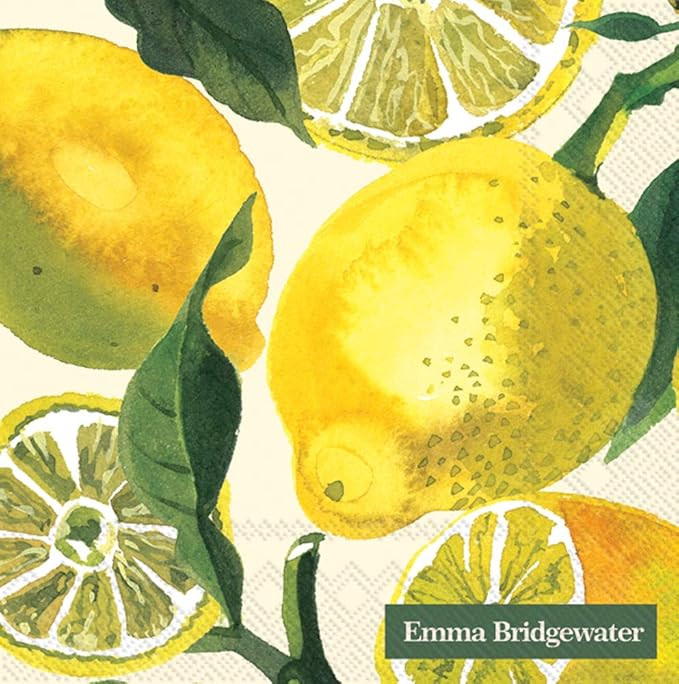 Boston International IHR 3-Ply 20-Count Cocktail Beverage Paper Napkins, 5 x 5-Inches, Lemons | Amazon (US)