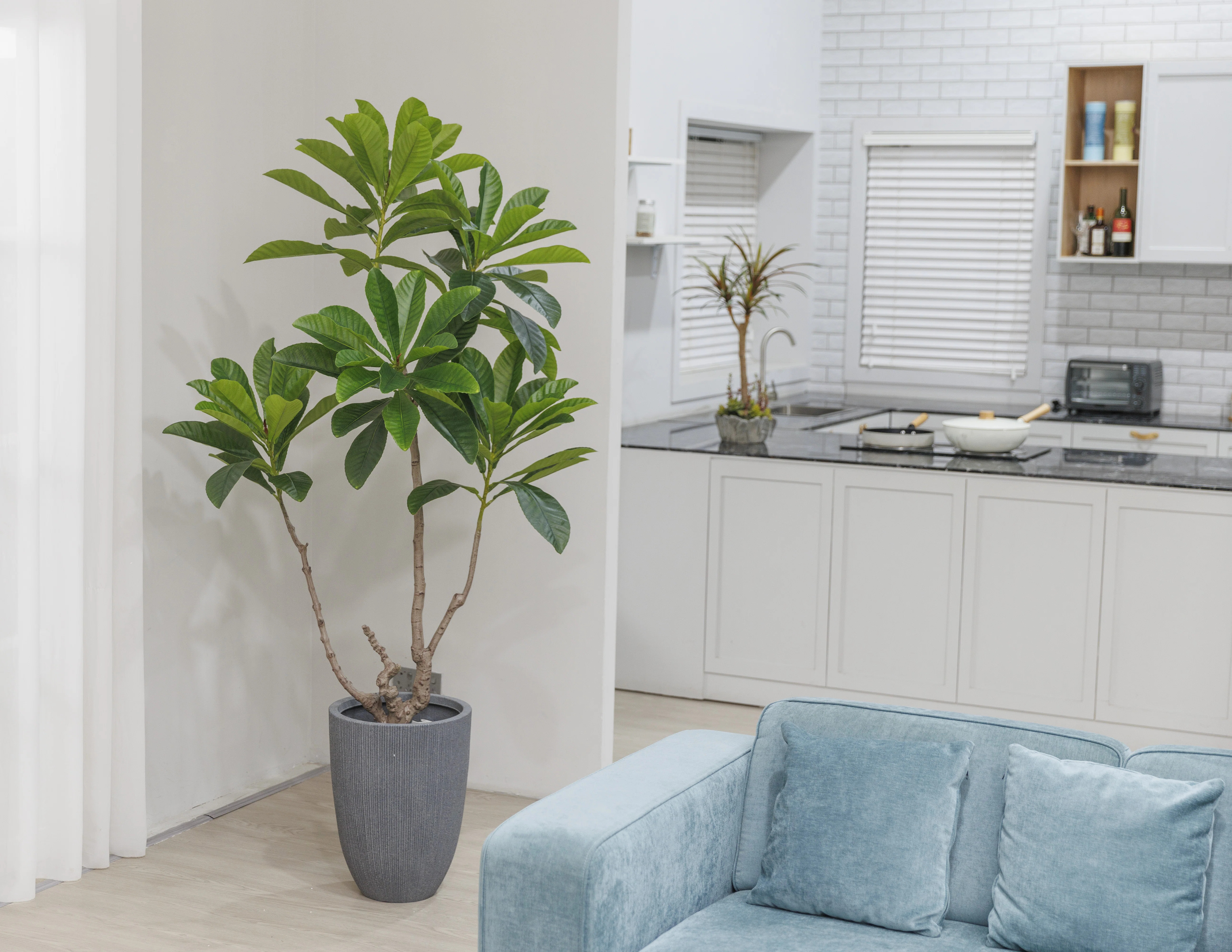 70'' Faux Blueberry Tree Tree in Planter | Wayfair North America