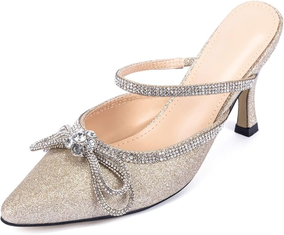 LYTIYO Women's Closed Toe Wedding Low Heel Heels,Strap Pointed Toe Bow Pumps High Heeled Prom Dre... | Amazon (US)