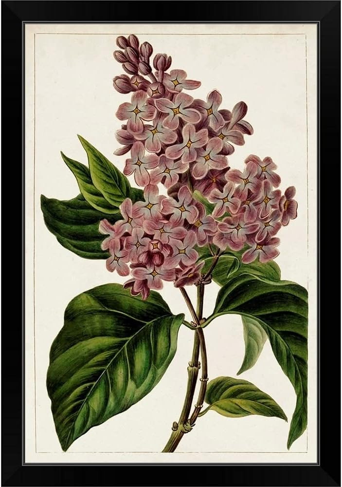 CANVAS ON DEMAND Mauve Botanicals IV Black Framed Art Print, Floral Artwork | Amazon (US)
