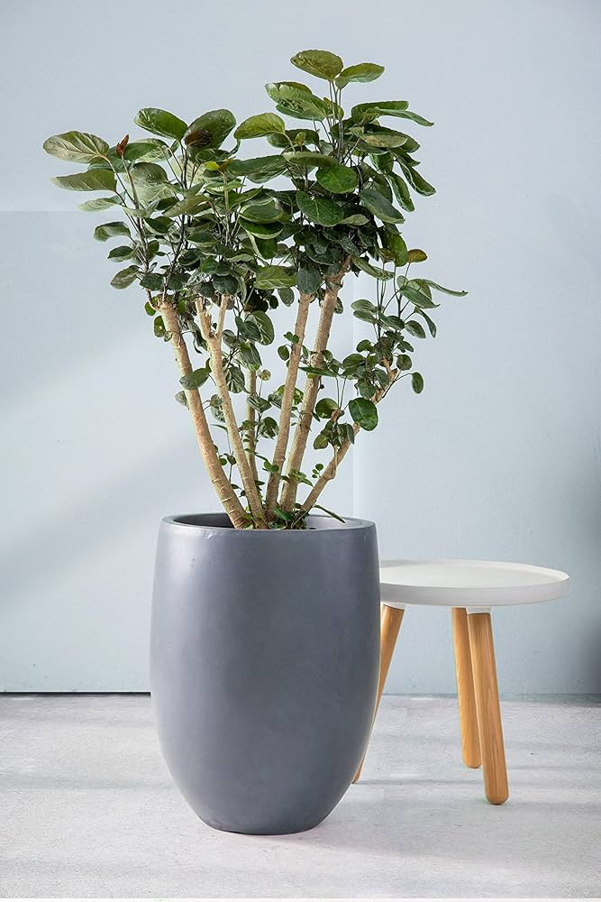 Kante AC0066A-60121 Concrete Large Outdoor Indoor Planters, Decorative Pots with Drainage Holes, ... | Amazon (US)