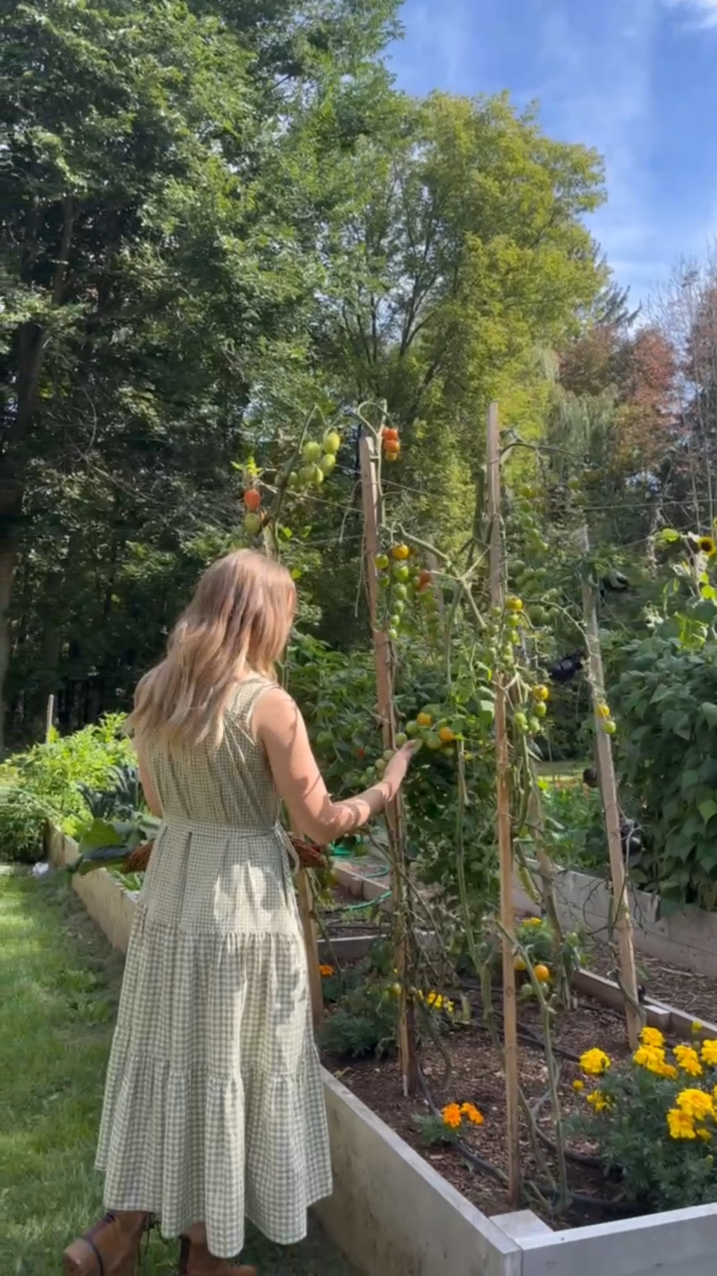 Summer outfit, summer dress, casual summer outfit, gingham dress, green dress, garden, home interior design, summer fashion.

#LTKstyletip
#LTKsummer 


#LTKstyletip #LTKsummer #LTKcanada