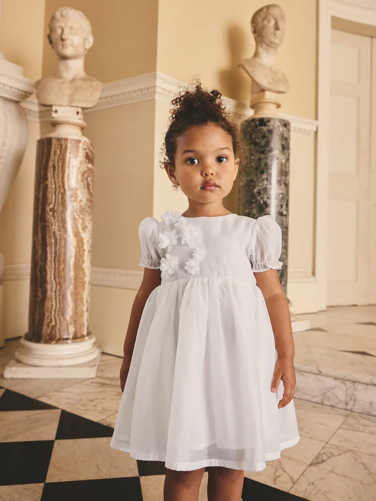 White Flower Corsage Dress (3mths-8yrs) | Next US