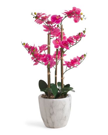 40in Real Touch Orchid In Marble Pot | TJ Maxx