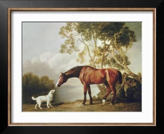 'Bay Horse and White Dog' Art Print - George Stubbs | Art.com | Art.com