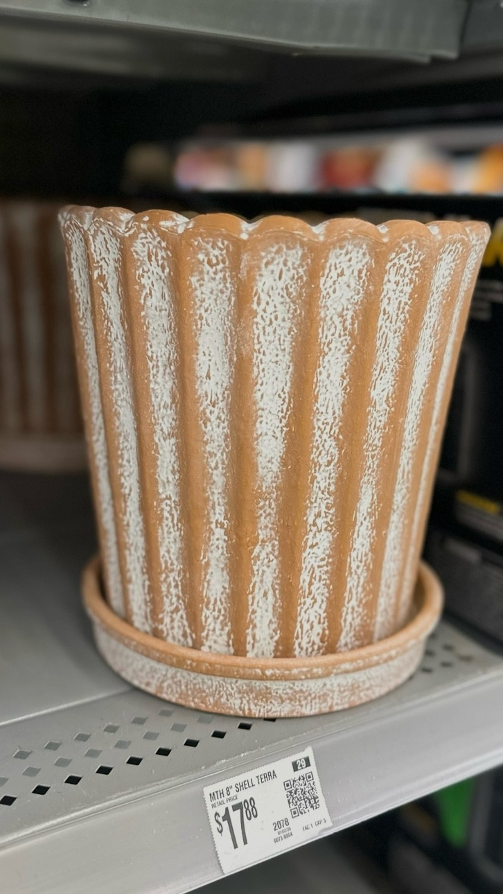 I found the cutest flower pots at Walmart recently.

These would be so cute with a plant in them or even used as a container for other things. 

Think bathroom counter with makeup brushes, art desk with paint brushes, beside the stove with utensils…

These would even make a great gift with a plant in them. 

The prices are so good, so I’m sure they will sell out quickly so grab yours while they are still stocked. 



#LTKSeasonal #LTKHome