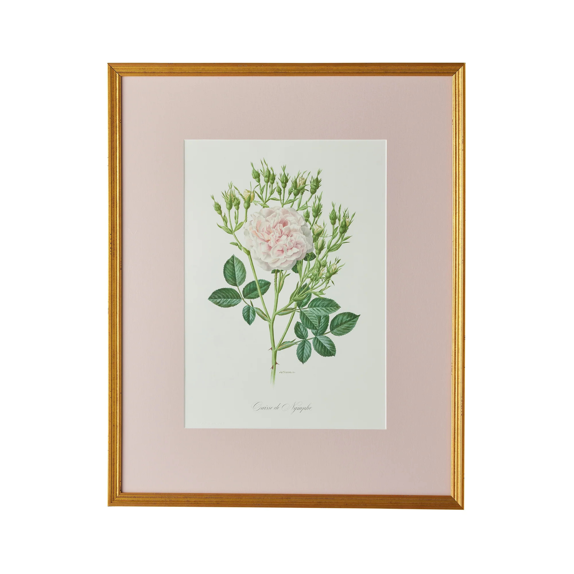 Ouisse de Nymphe Artwork | Caitlin Wilson Design