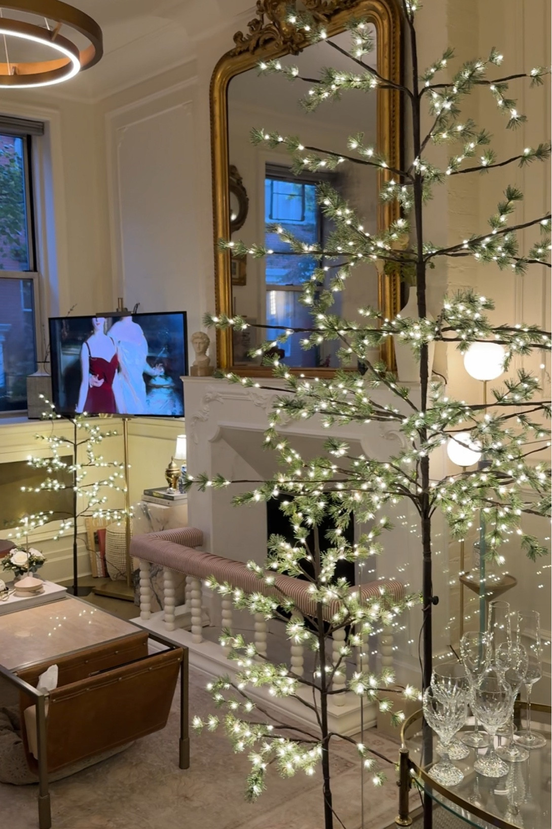 Perfect trees for a small apartment. Here are similar ones since these are discontinued 