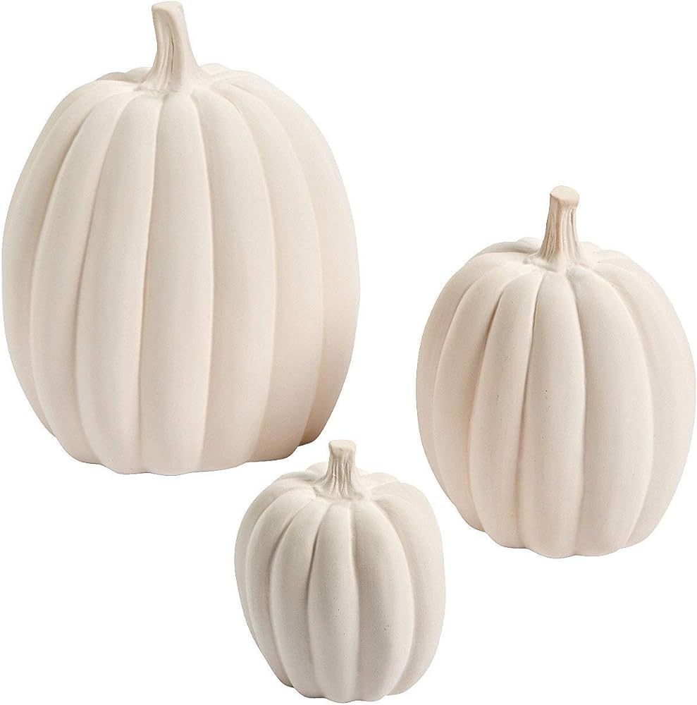 DIY Decorative White Pumpkins, Ceramic - 3 different sizes - Fall and Halloween Home Decor and Cr... | Amazon (US)