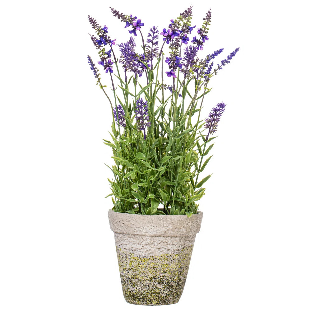 Lavender Arrangement in Pot | Wayfair North America