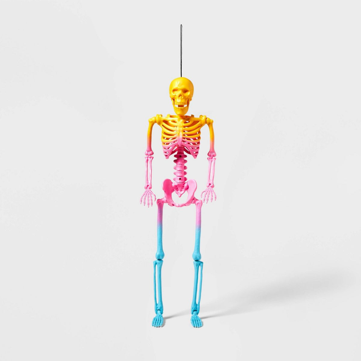 24" Ombre Night of the Vivid Dead Halloween Posable Skeleton - Hyde & EEK! Boutique™ | Target