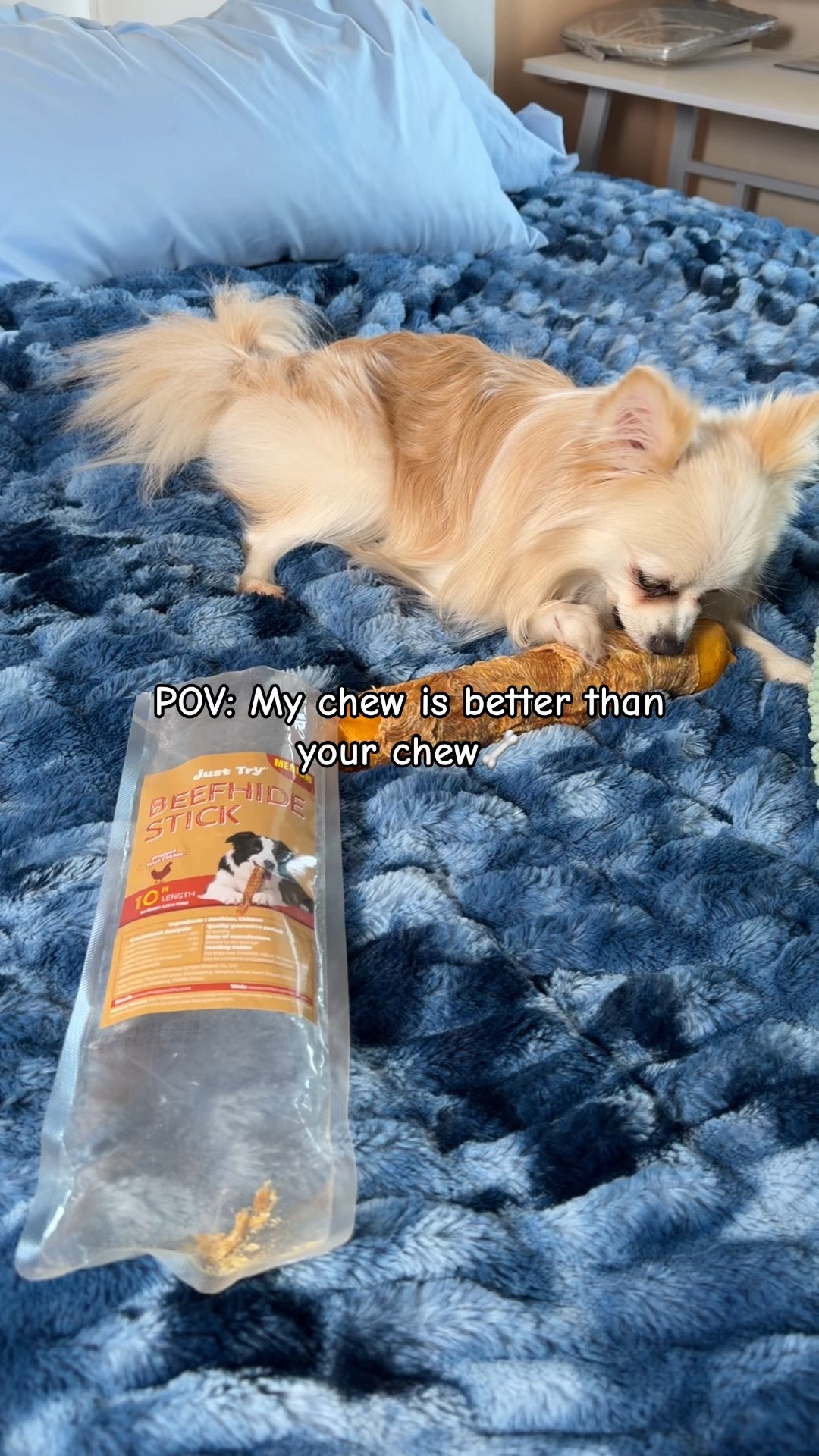 Her fave.🦴🐾🐕

#LTKHome #LTKfoodie