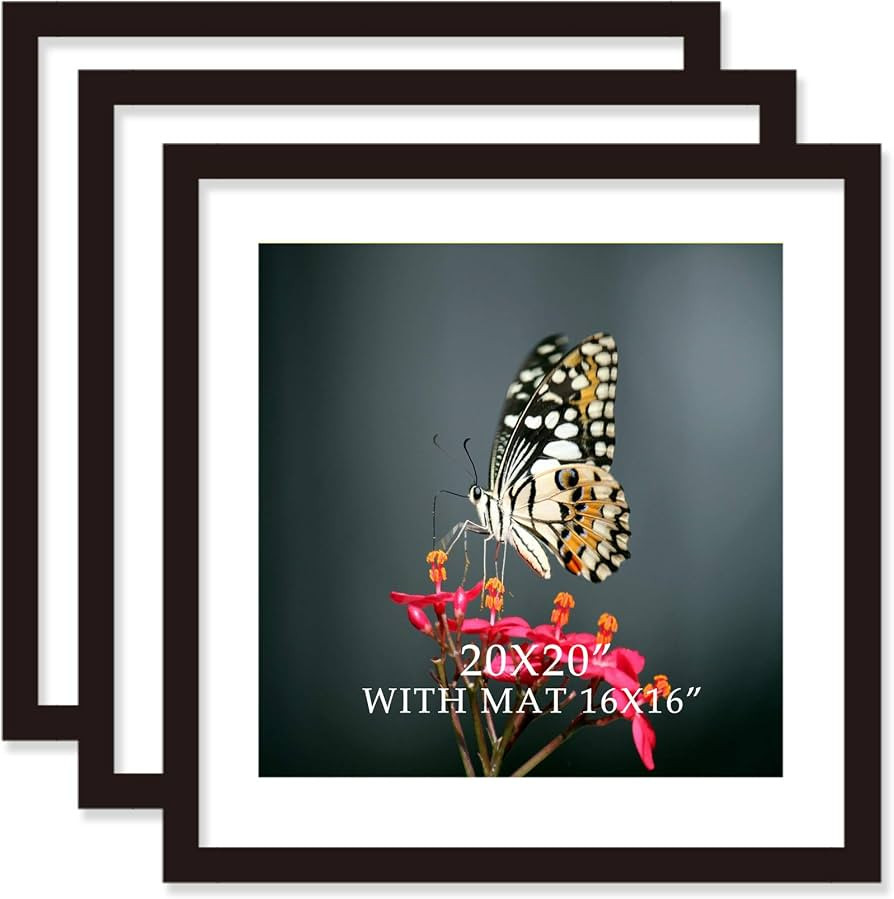 20x20 Frame Black With Mat 16x16 Solid Wood Picture Frames (3 pack, 20x20 Inch)… | Amazon (US)