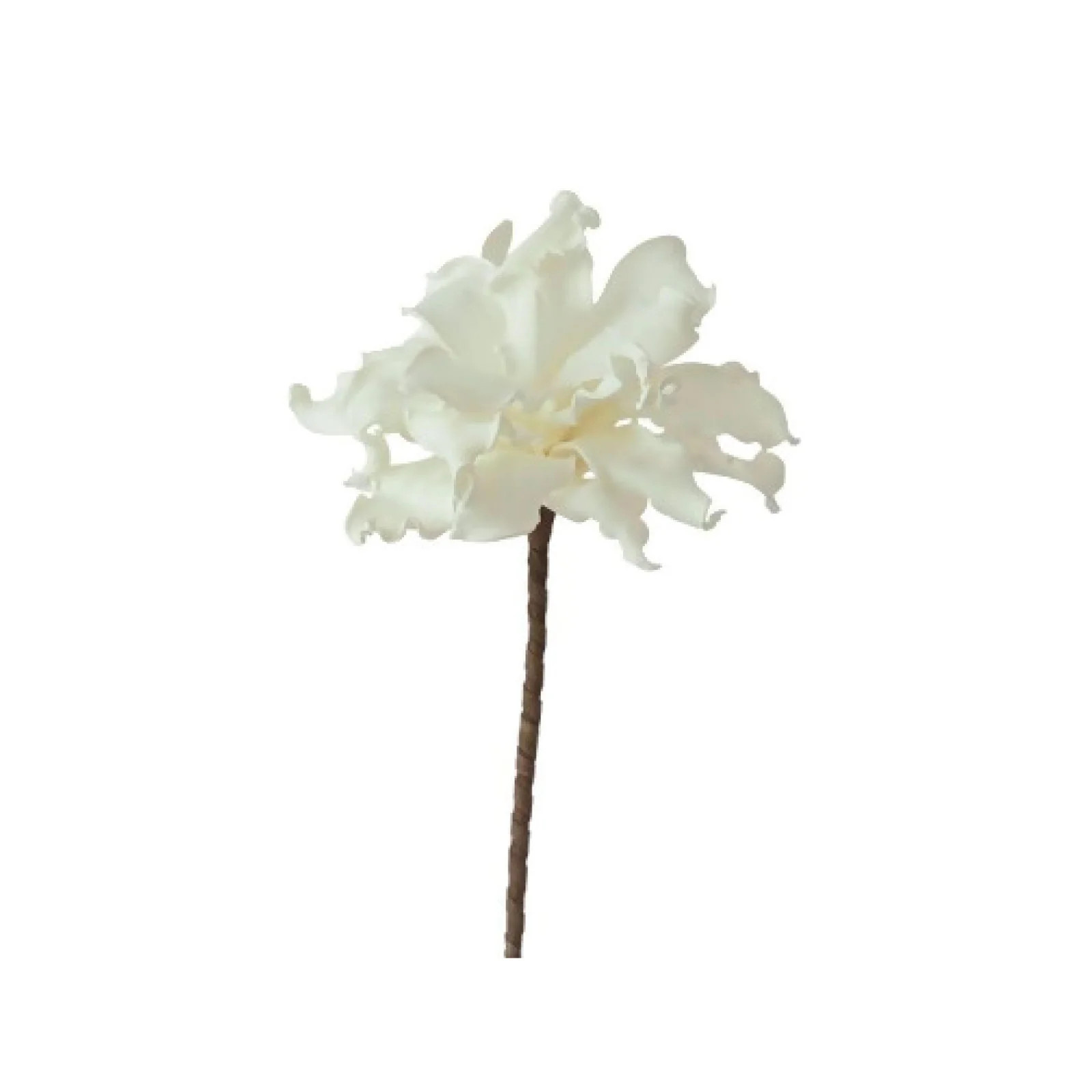 Large White Floral Stem | Brooke and Lou