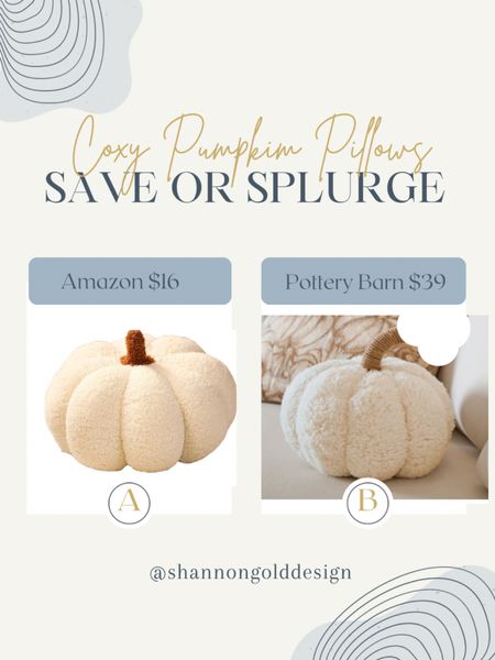  I found a dupe for the Cozy Pumpkim Pillows from Pottery Barn. Get two for less than the price of one. Save or splurge. Look for less. Fall decor.

#LTKSeasonal #LTKhome #LTKunder50