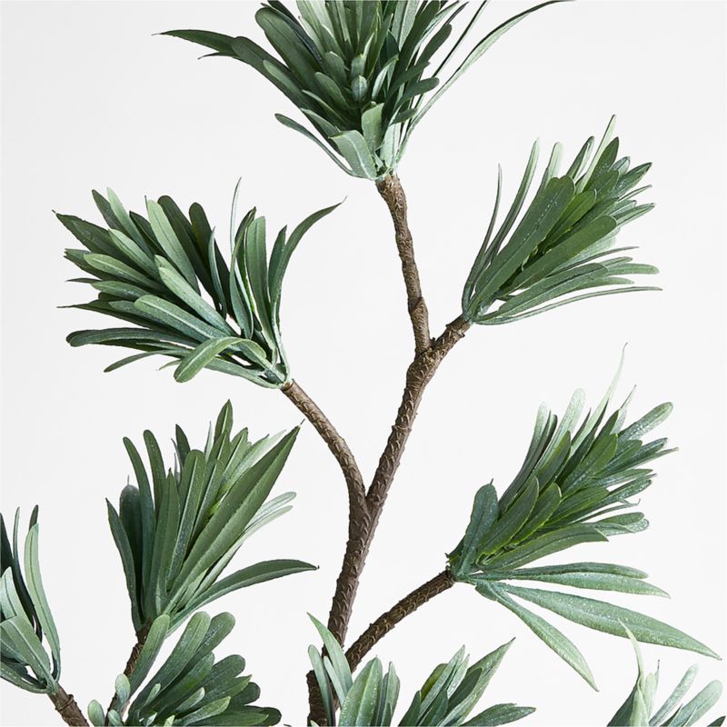 Japanese Black Pine Faux Stem + Reviews | Crate and Barrel | Crate & Barrel