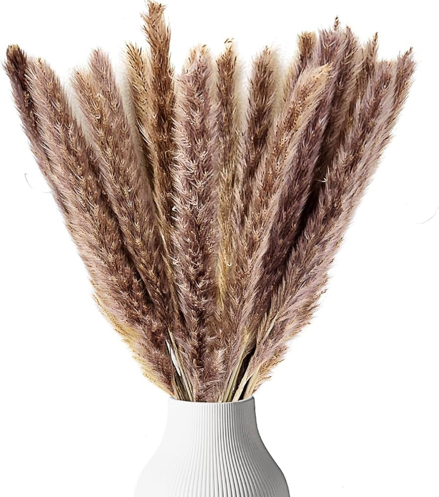 Live N Lux Pampas Grass Decor - 30 Pcs 18 Inch Tall Dried Pampas Grass, Boho Home Decor Great Natura | Amazon (US)