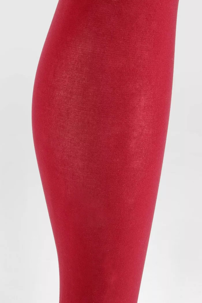 Berry Sheer Tights | Boohoo.com (UK & IE)
