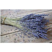 Lavender Bunch, Dried Lavender Bundle - Over 100 Stems, Organic Dried For Bouquets, French Bundles | Etsy (US)