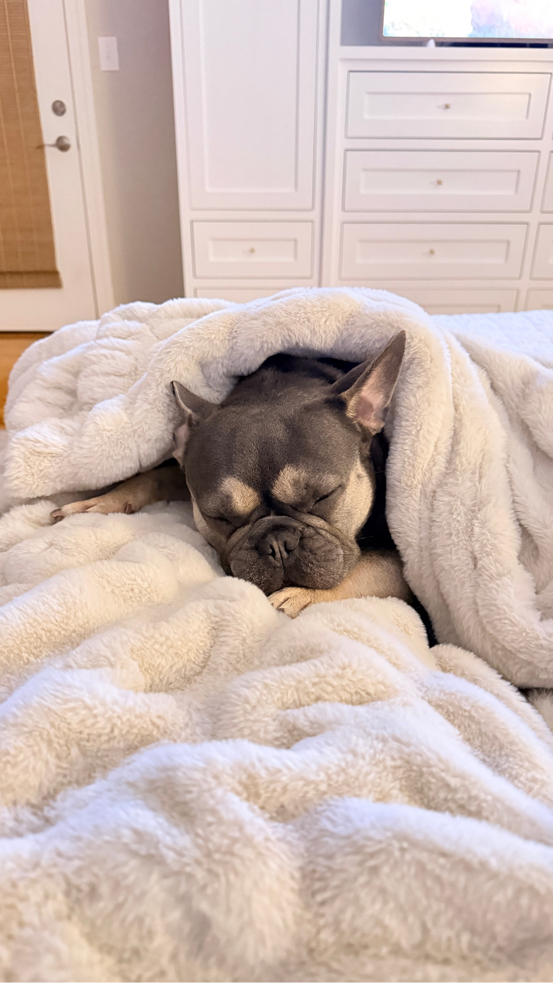 Louis favorite nap companion is his Lola Blanket 

#LTKSaleAlert #LTKselfcare #LTKHome