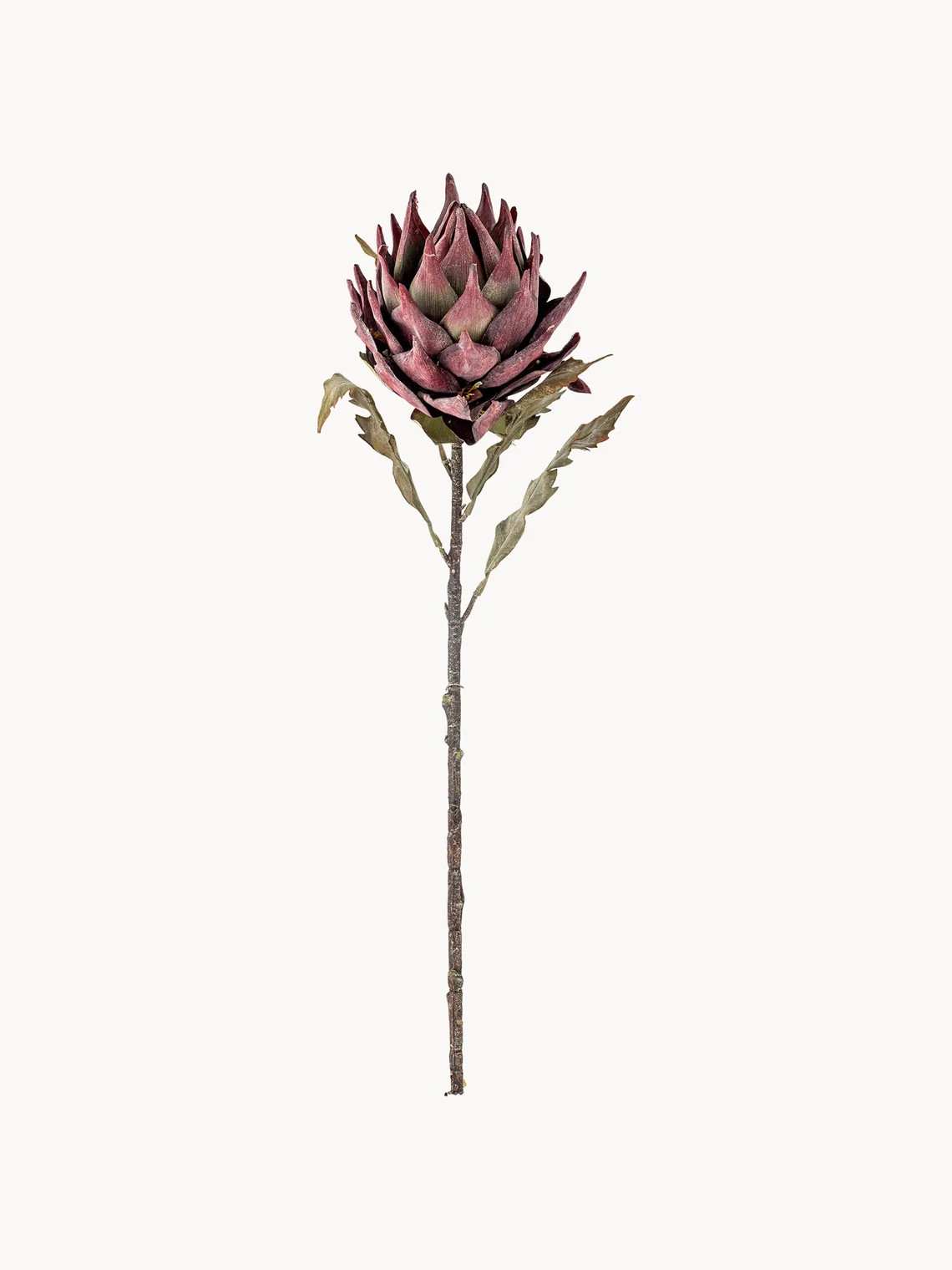 Artificial Flower Protea \u2758 Westwing | Westwing UK