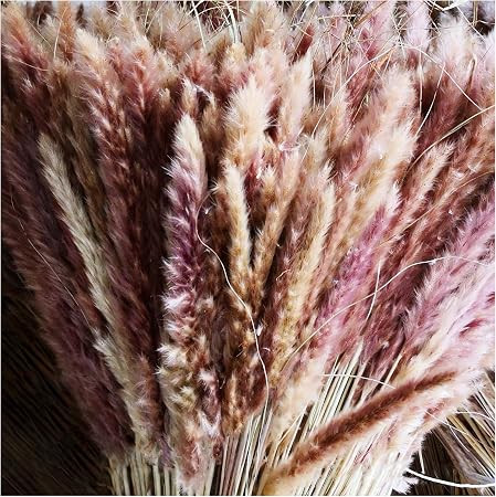 35pcs Dried Small Pampas Grass Plants-18’’ Tall Pampas Grass Decor Fluffy Stems -Full and Flu... | Amazon (US)