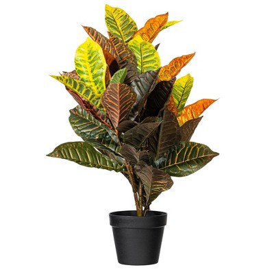Vickerman 30" Artificial Croton Real Touch Potted Plant. | Target