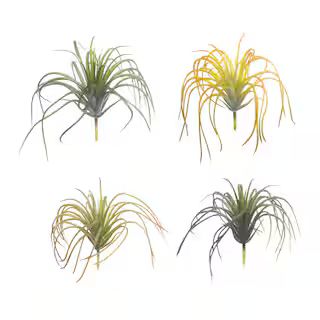 Assorted Tillandsia Pick by Ashland® | Michaels Stores