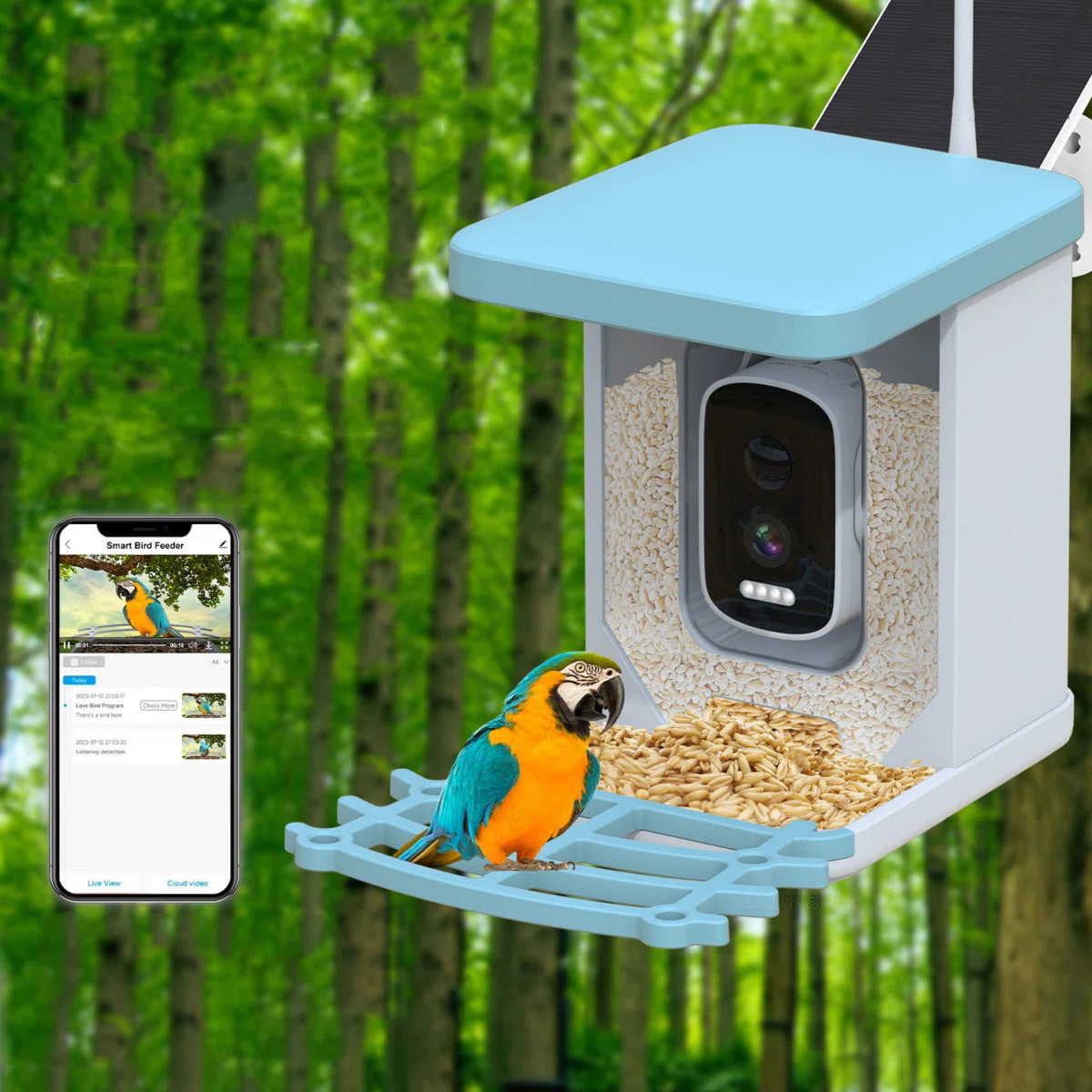 Bird Feeder With Camera, Smart Ai Bird Breed Recognition, Solar Powered Auto Capture Bird Watchin... | Wayfair North America