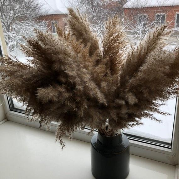 Pampas grass Tall centerpieces Wedding arch flowers Dried flower bouquet Pampas grass décor Wild... | Etsy (US)